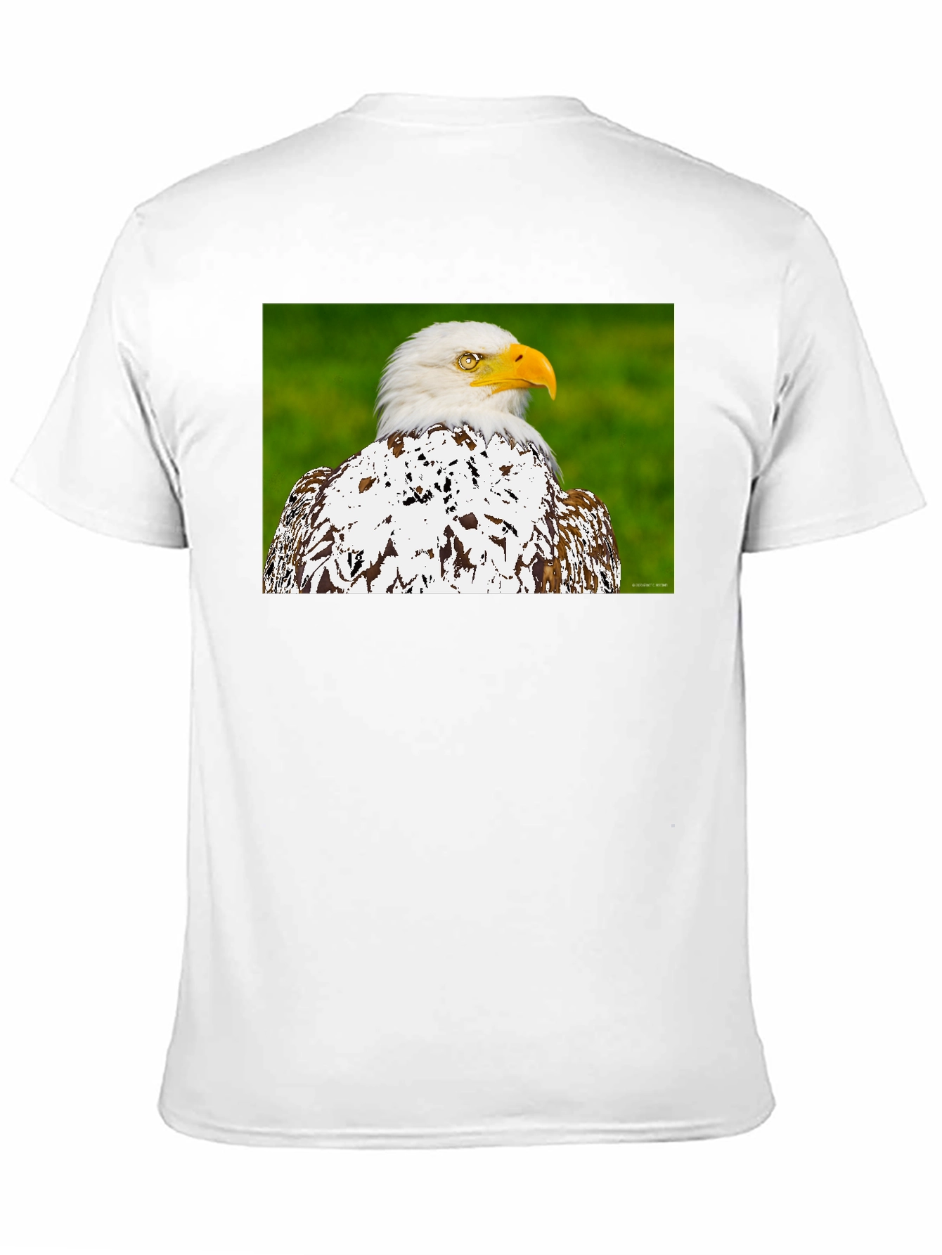 Eagle Graphic T-Shirt - Patriotic Style