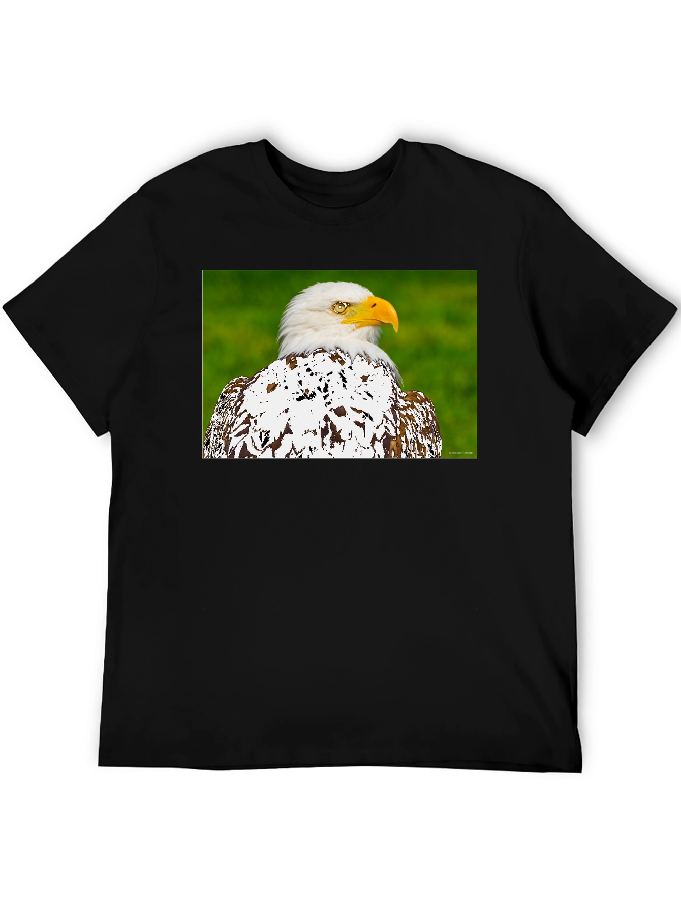 Eagle Graphic T-Shirt - Patriotic Style