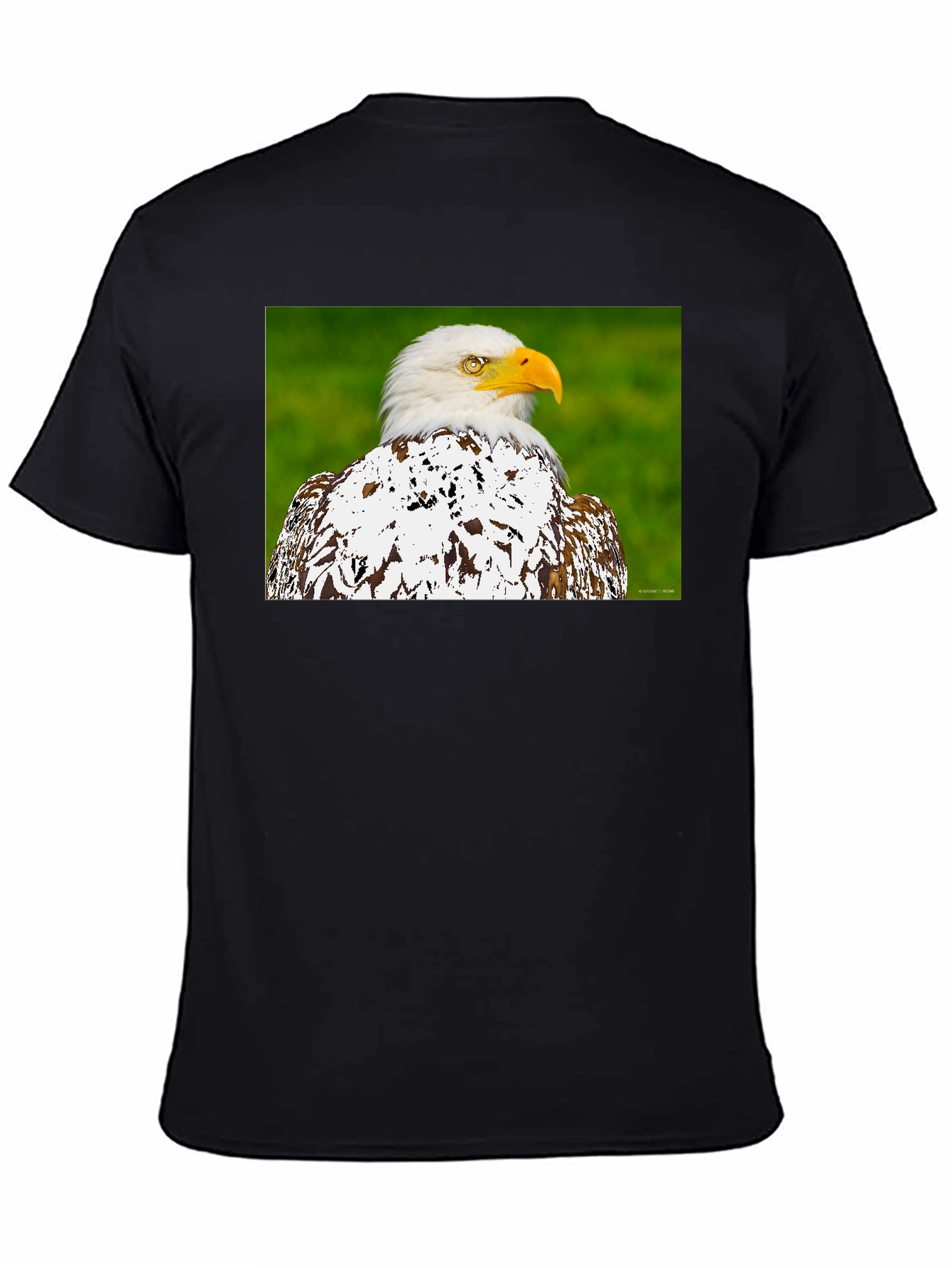 Eagle Graphic T-Shirt - Patriotic Style