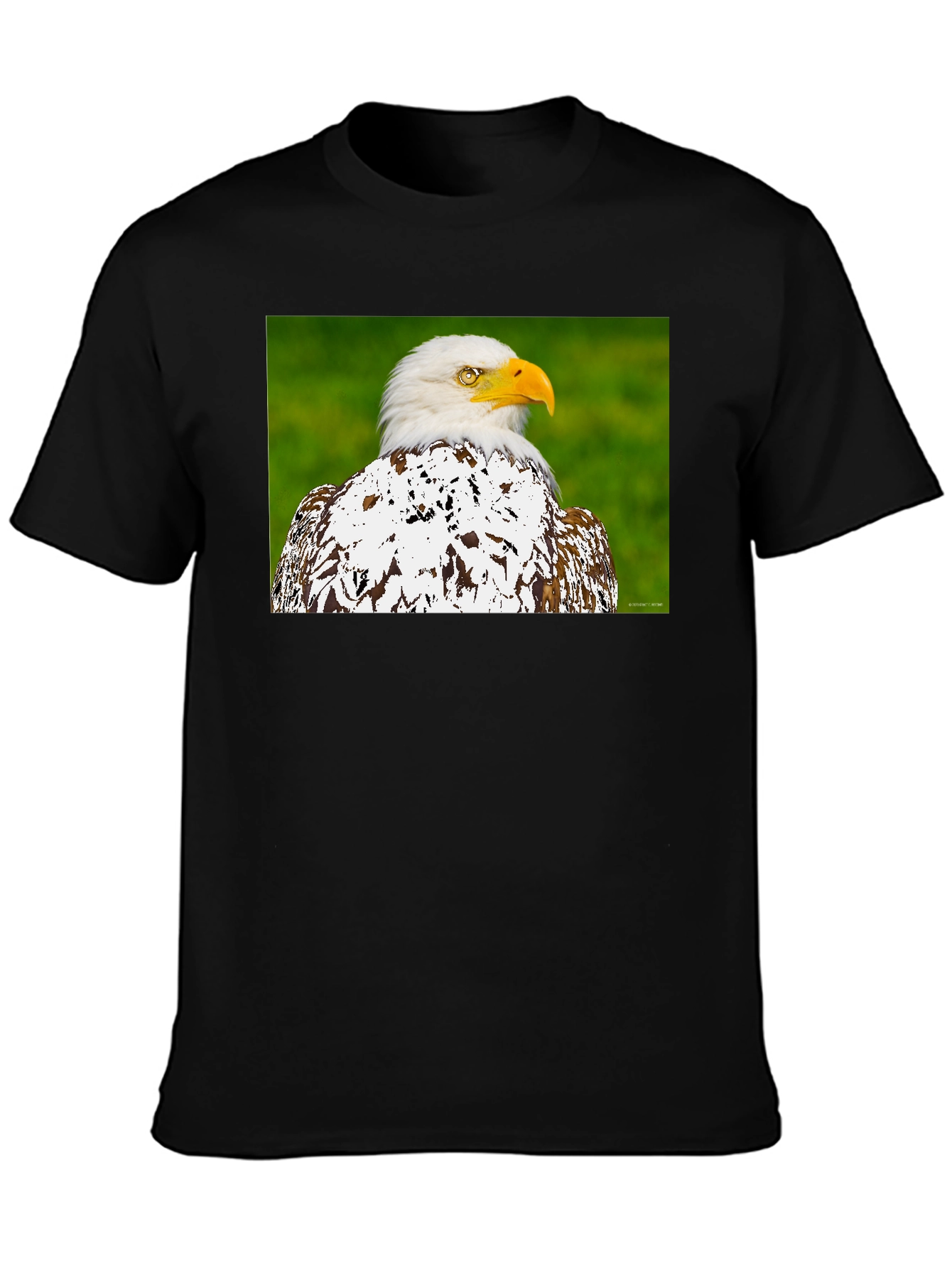 Eagle Graphic T-Shirt - Patriotic Style