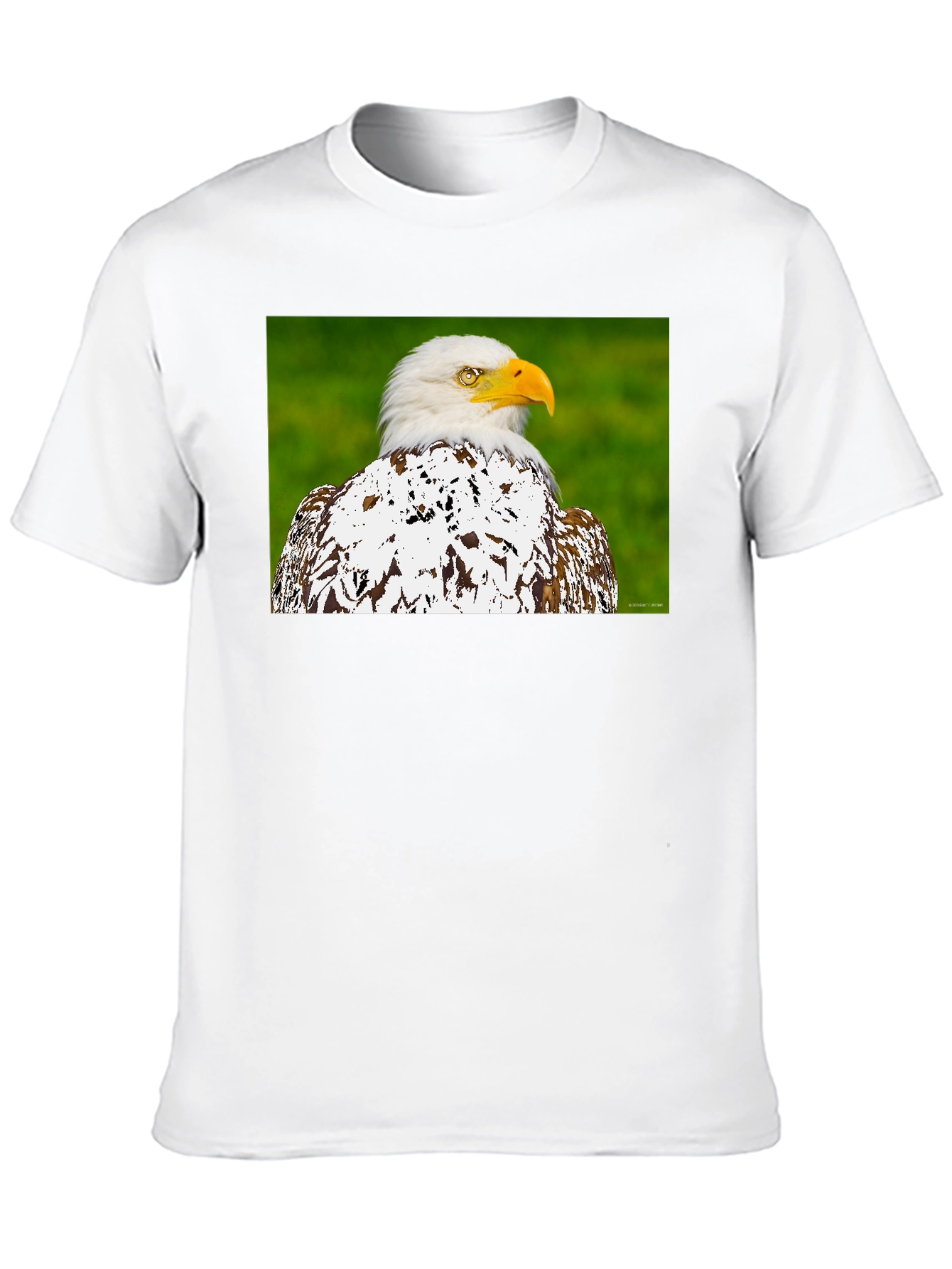 Eagle Graphic T-Shirt - Patriotic Style