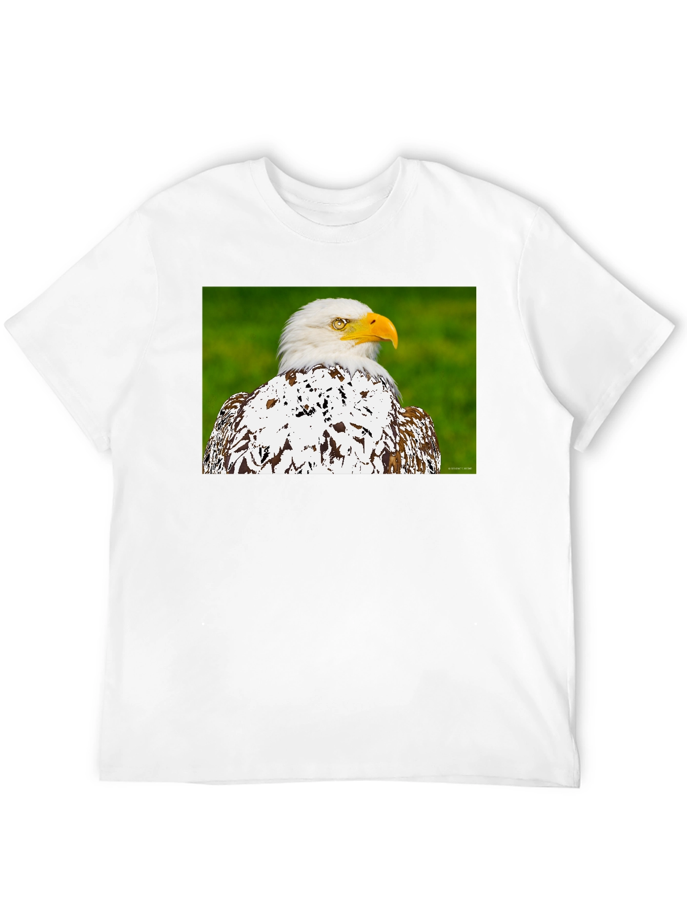 Eagle Graphic T-Shirt - Patriotic Style