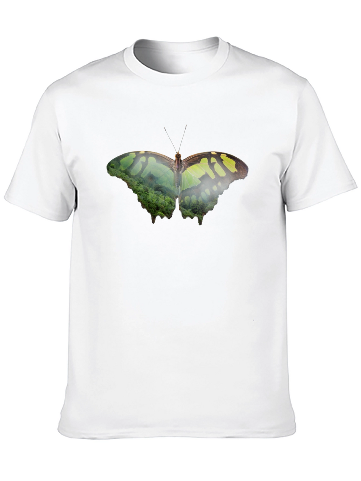 Butterfly Nature Print Black T-Shirt