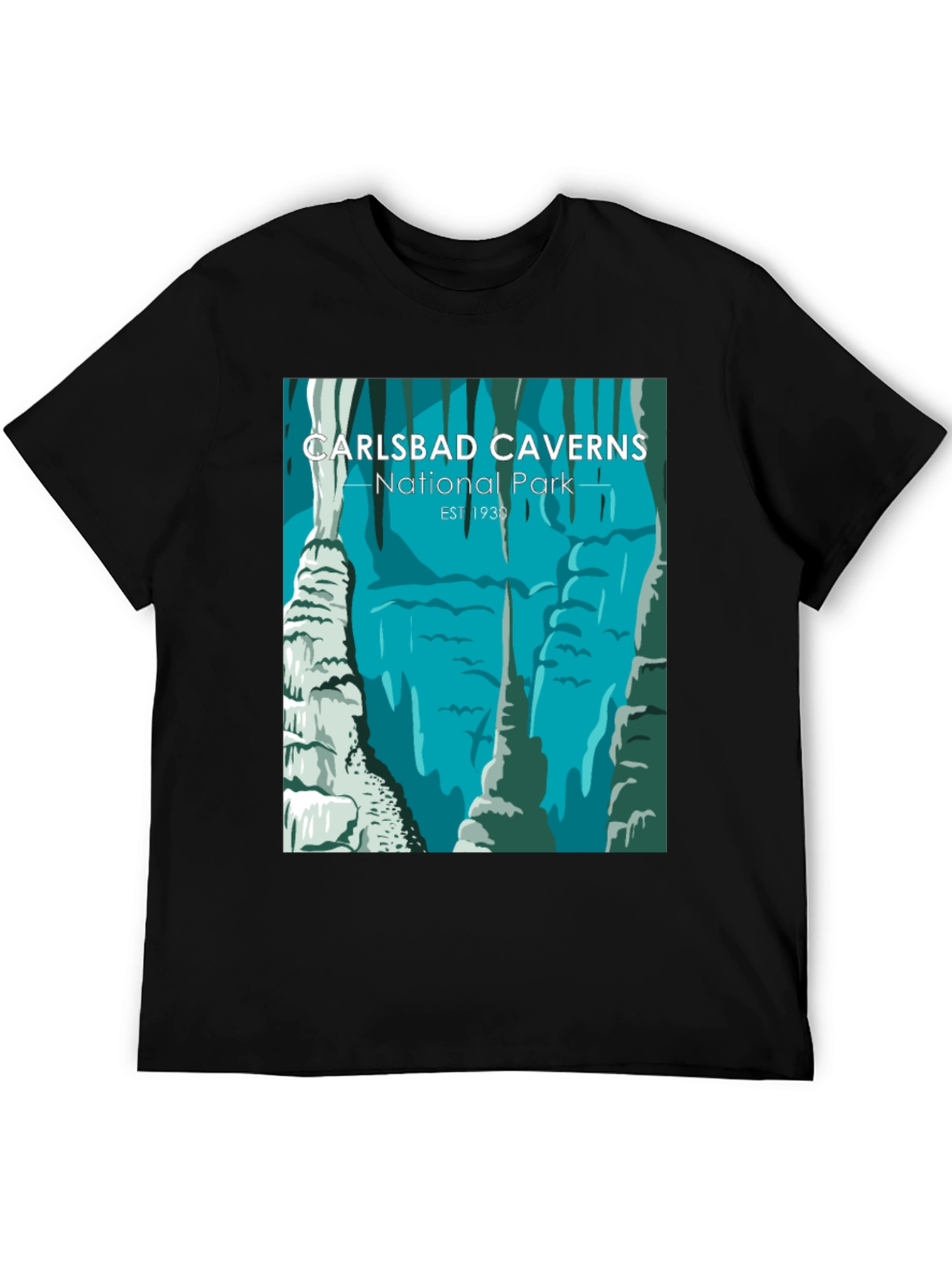 Carlsbad Caverns National Park T-Shirt