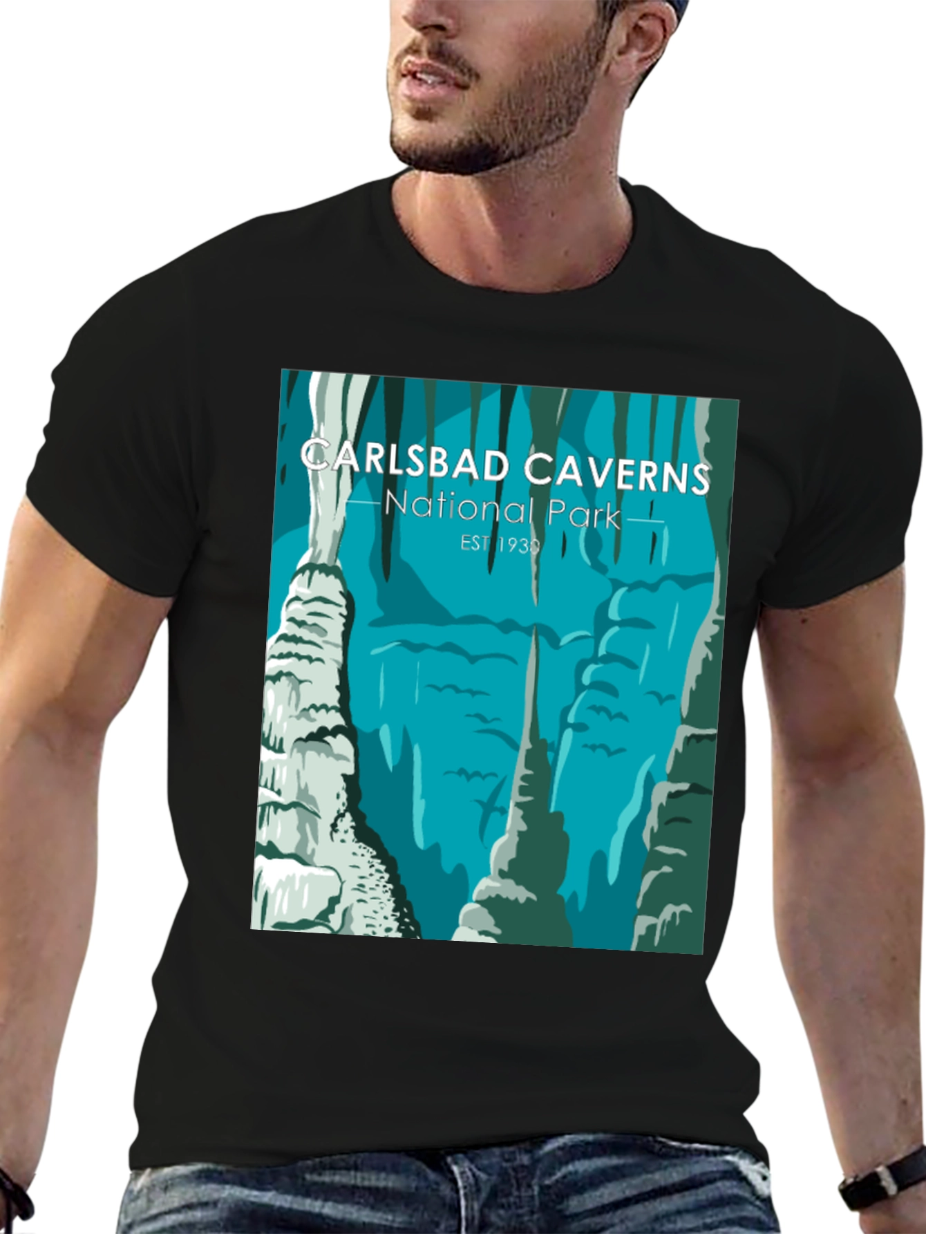 Carlsbad Caverns National Park T-Shirt
